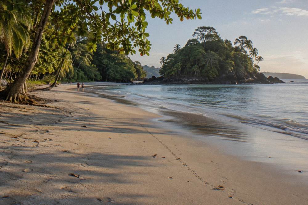 Wide sandy beach curving between rainforest and calm Pacific water
