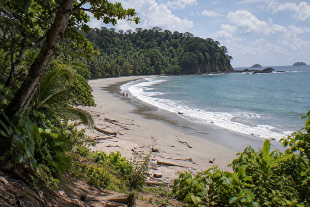 Wide sandy beach curving beneath a forested headland under scattered clouds