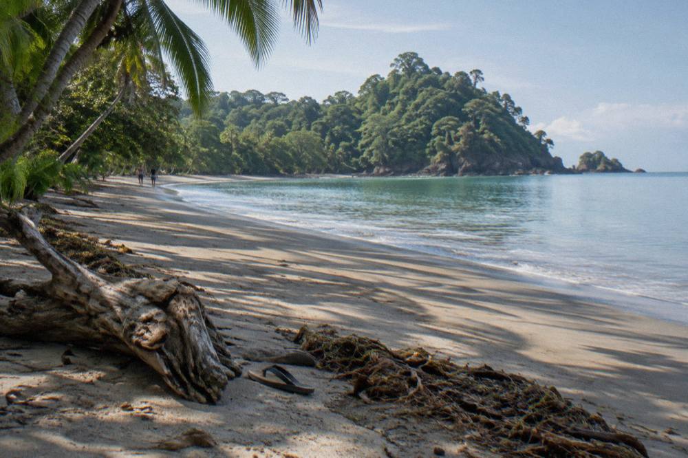 Quiet palm-shaded section of sand near Manuel Antonio with calm morning water