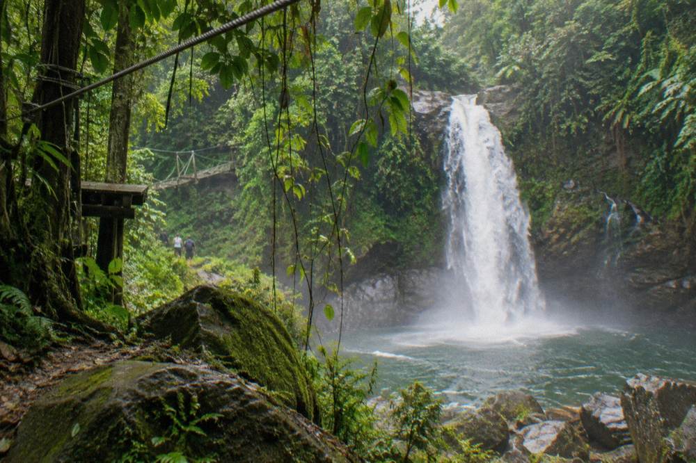 Rainforest canyon with a waterfall dropping into a forested gorge near a canopy tour course