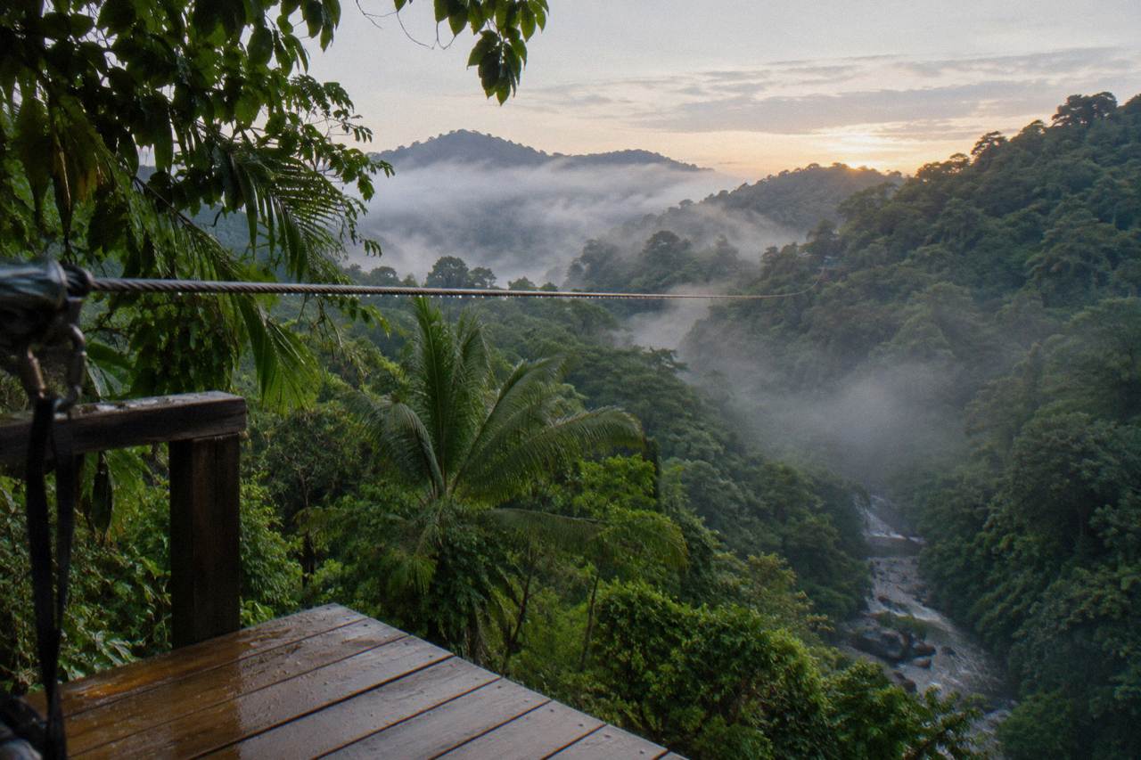 Rainforest canopy with a zipline cable stretching between two platforms among green treetops