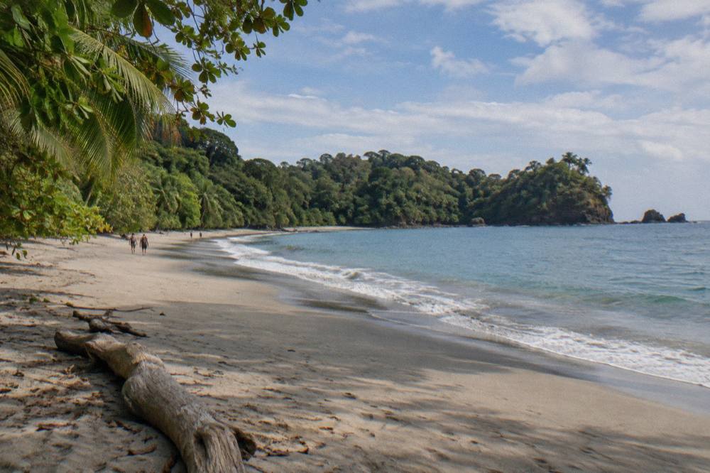 Wide sandy beach curving between rainforest and calm blue ocean under scattered clouds
