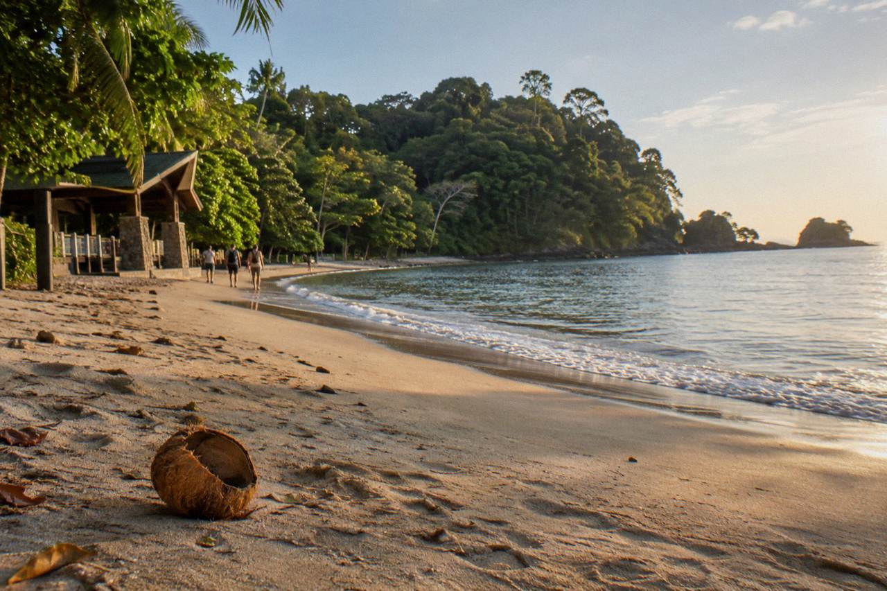 Forest-covered hillsides rising above a curved Pacific beach beside calm water