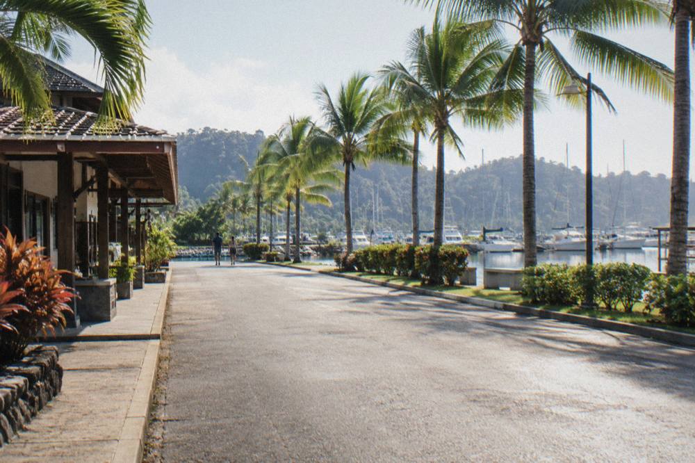 Palm-lined waterfront road in Quepos leading toward the marina in bright morning light