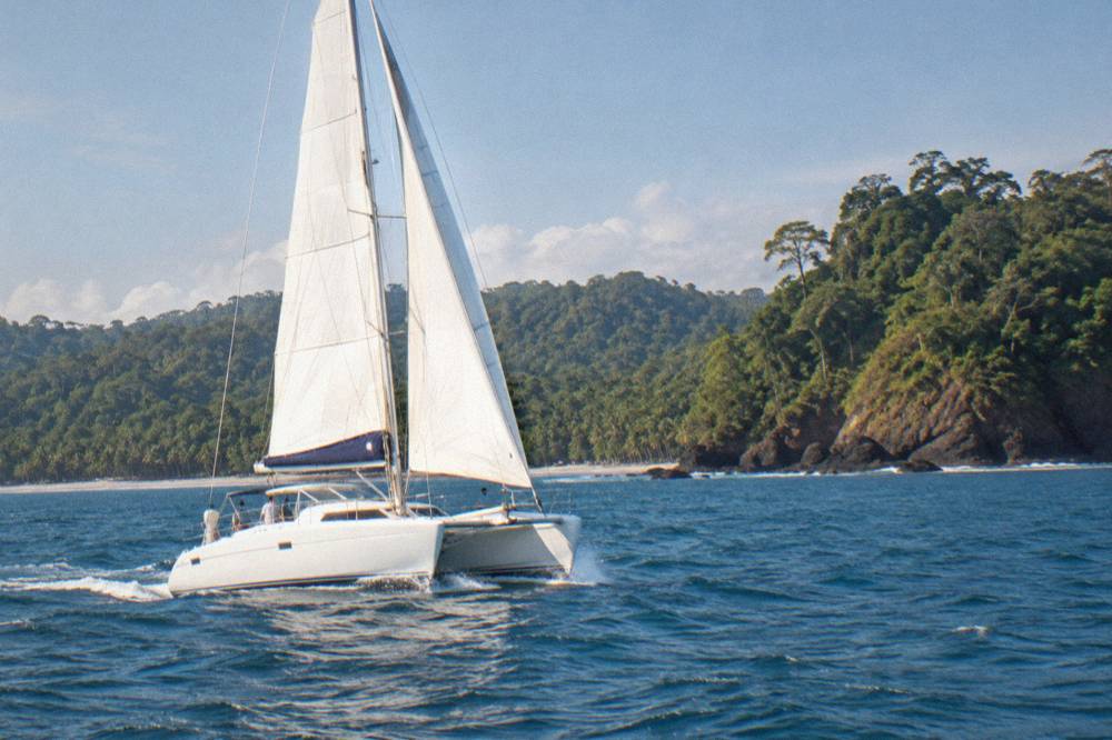 A white catamaran under sail on open ocean with green coastline in the distance