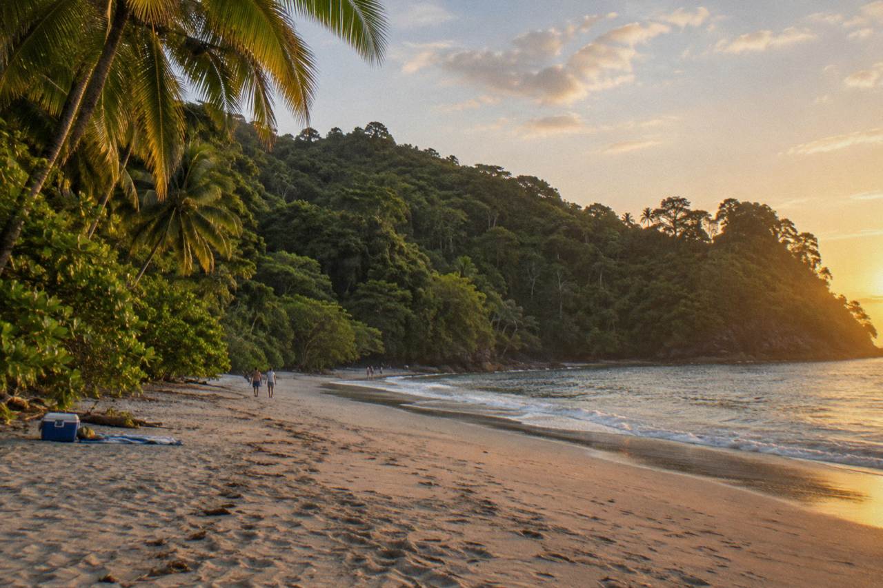 Rainforest covered hills rising above a curved Pacific beach at golden hour