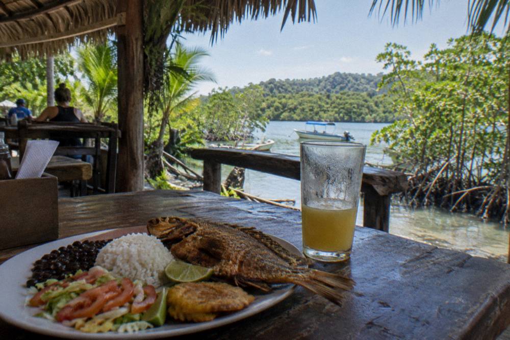 Fresh Costa Rican lunch served on a boat between mangrove tours