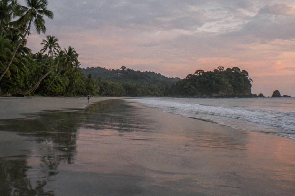 Empty public beach at dawn with dark sand and palm trees along the shore