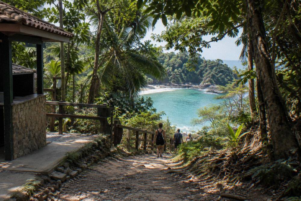 Forest trail leading toward a beach cove with dense green canopy