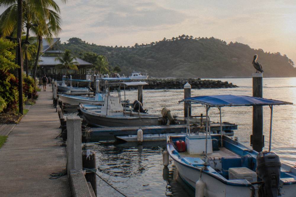 Small fishing boats moored in a harbor beside a waterfront walkway