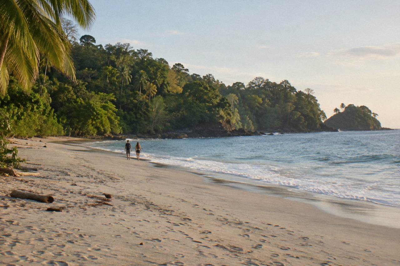 Wide sandy beach curving between rainforest covered hills and the Pacific ocean
