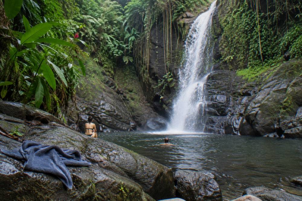 Narrow waterfall dropping into a dark forest pool ringed by rocks and vines