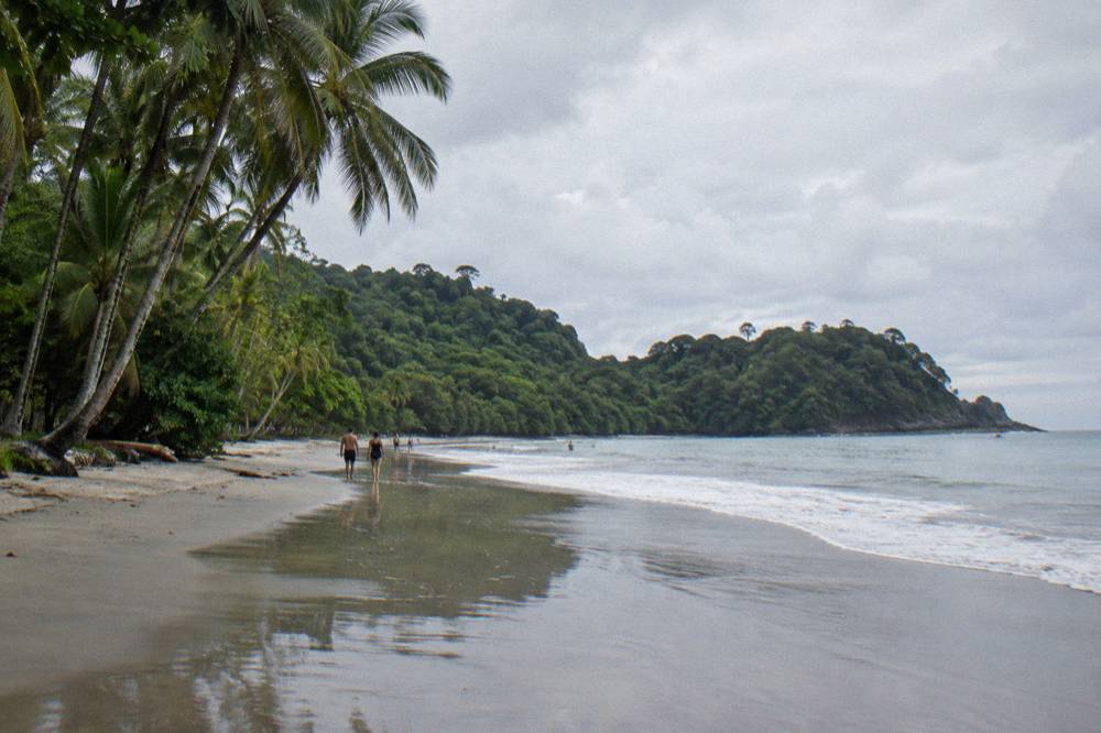 Long sandy beach with scattered palms and distant headland under scattered clouds