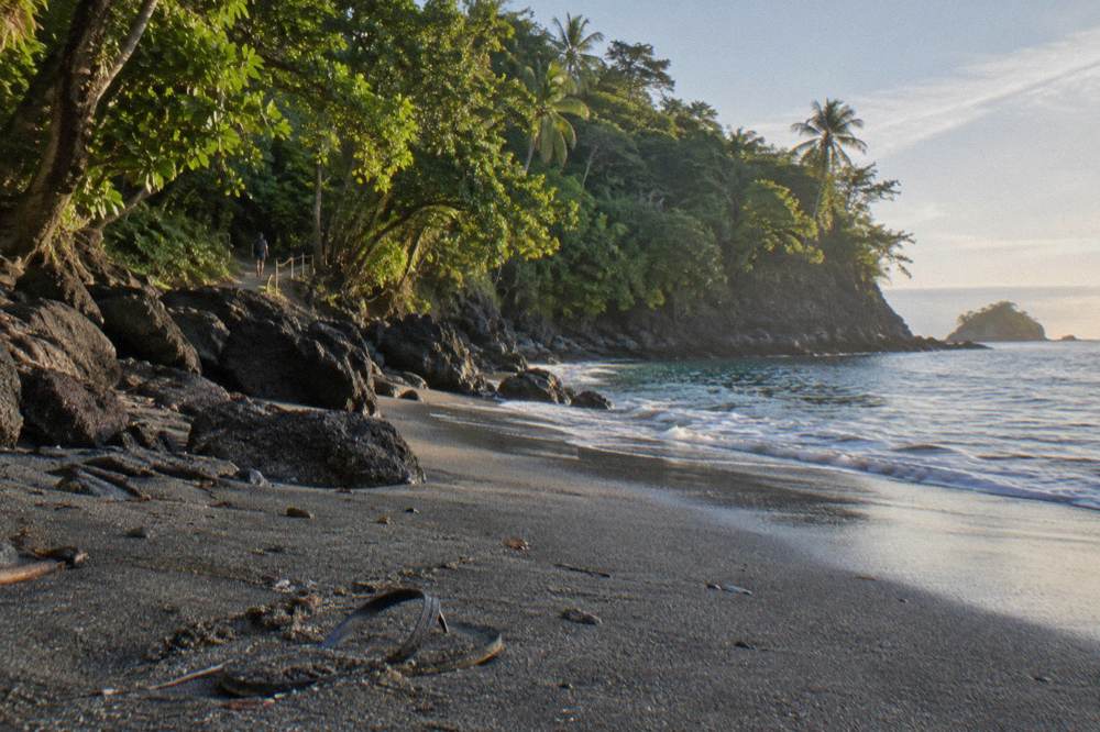 Forest trail opening onto a pale sand beach with rocky point and calm blue water
