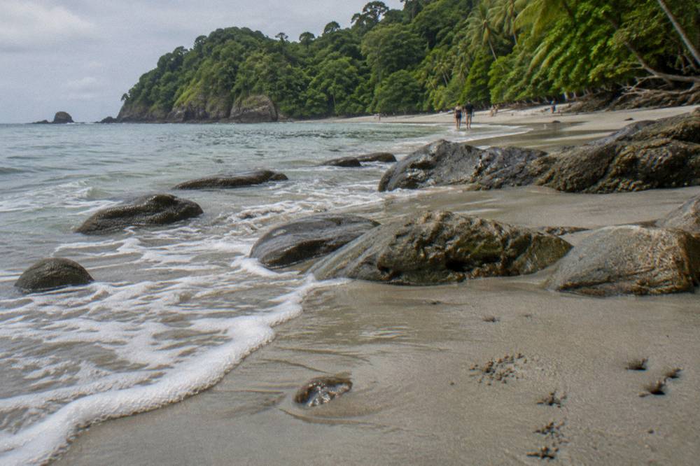 Gentle waves washing over smooth wet sand near rocks with green trees behind