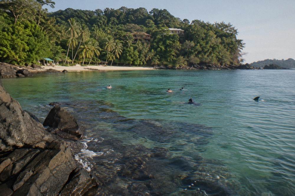 Snorkelers floating in clear green water above rocks near a forested bay