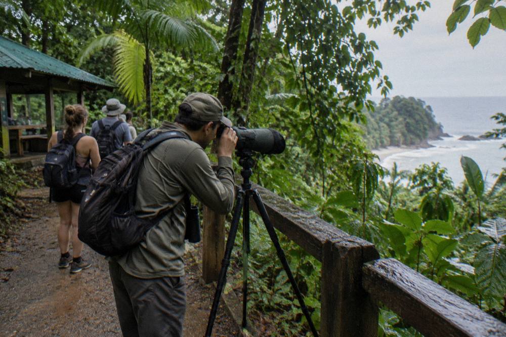A guide aiming a spotting scope toward the rainforest canopy while visitors wait on a park trail
