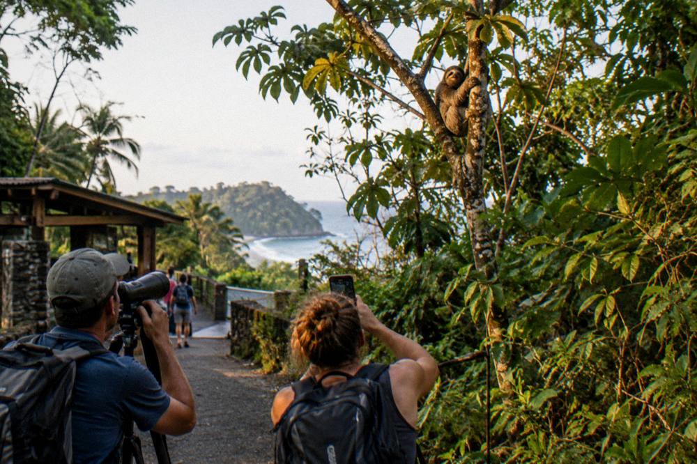 A visitor photographing wildlife through a spotting scope on a sunlit forest trail