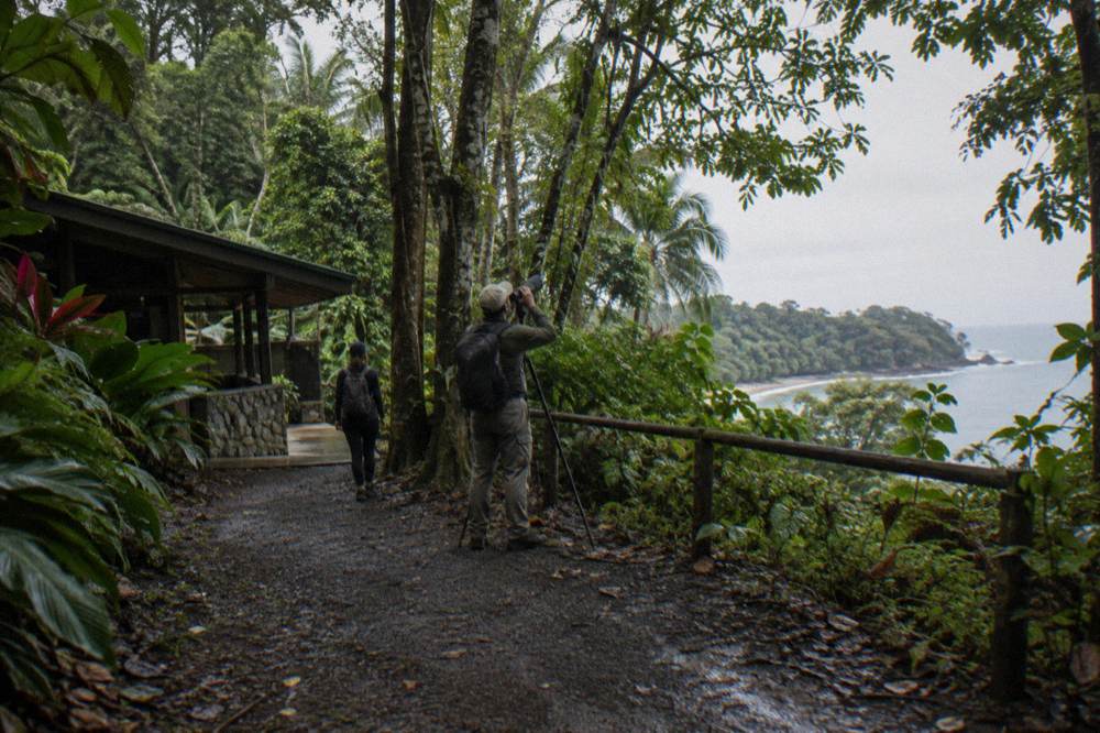 Guide with spotting scope aimed at rainforest canopy while visitors watch