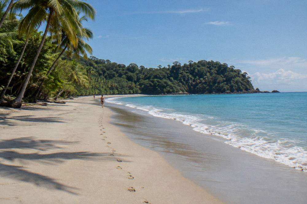 Wide sandy beach with palms outside the national park boundary at midday