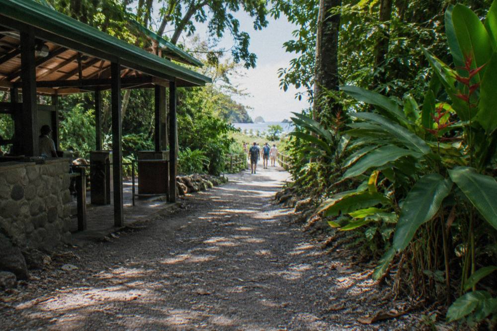 Dense tropical rainforest trail winding toward a sunlit clearing in Manuel Antonio National Park