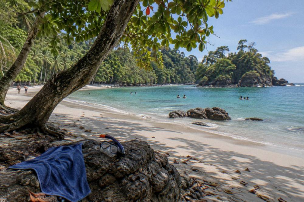 Palm-fringed white sand beach and calm turquoise water inside Manuel Antonio National Park