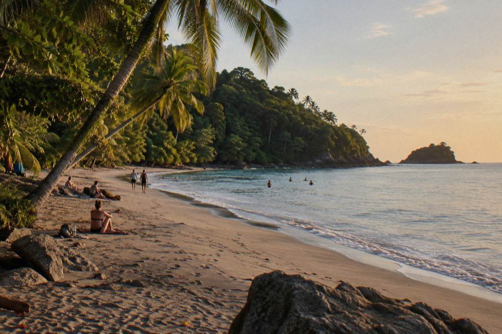 Palm-lined white sand beach curving between forested hills and calm sea