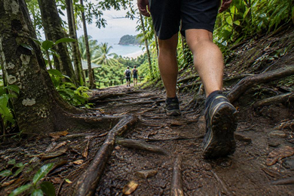 Hiker in sturdy shoes stepping over roots on a shaded forest path