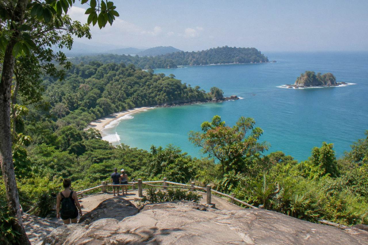 Dense green rainforest canopy meeting a calm Pacific bay at midday