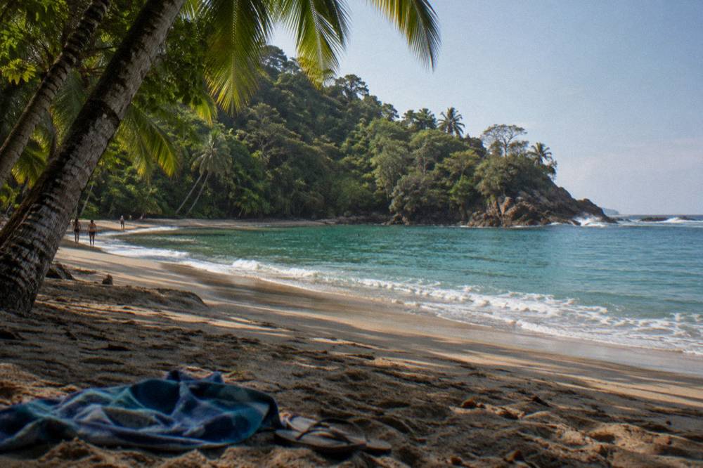 Palm-lined beach with calm water and rocky point at one end under morning light