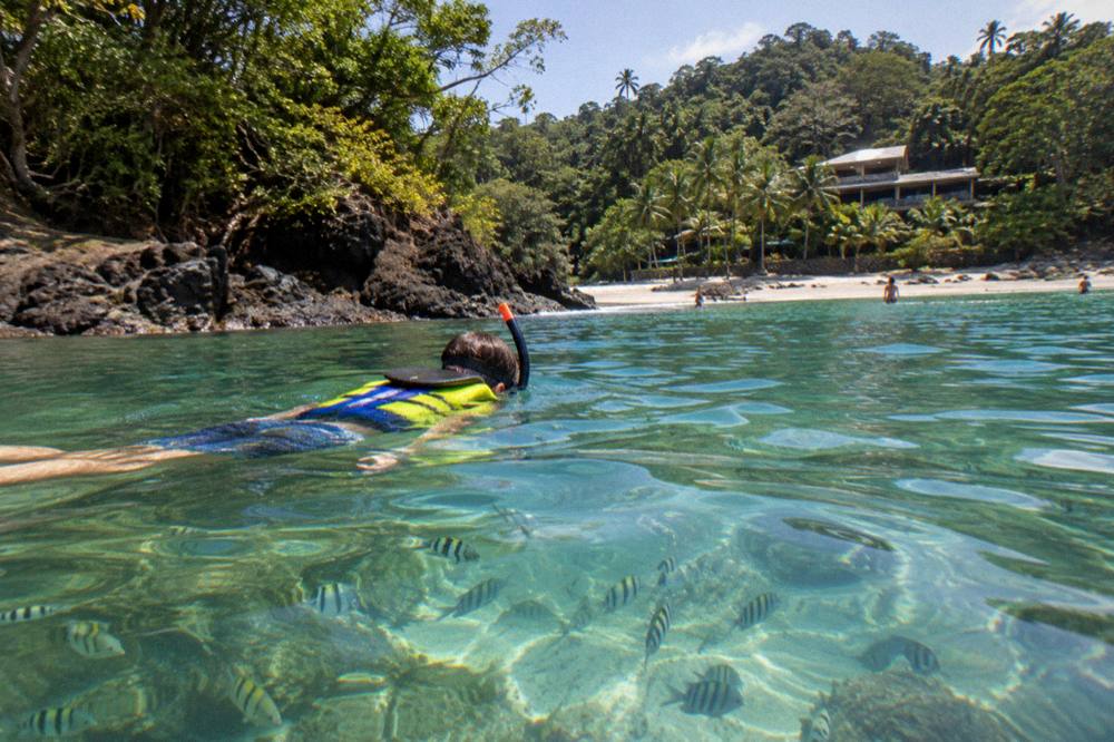 Snorkeler floating calmly over shallow reef in clear sunlit water
