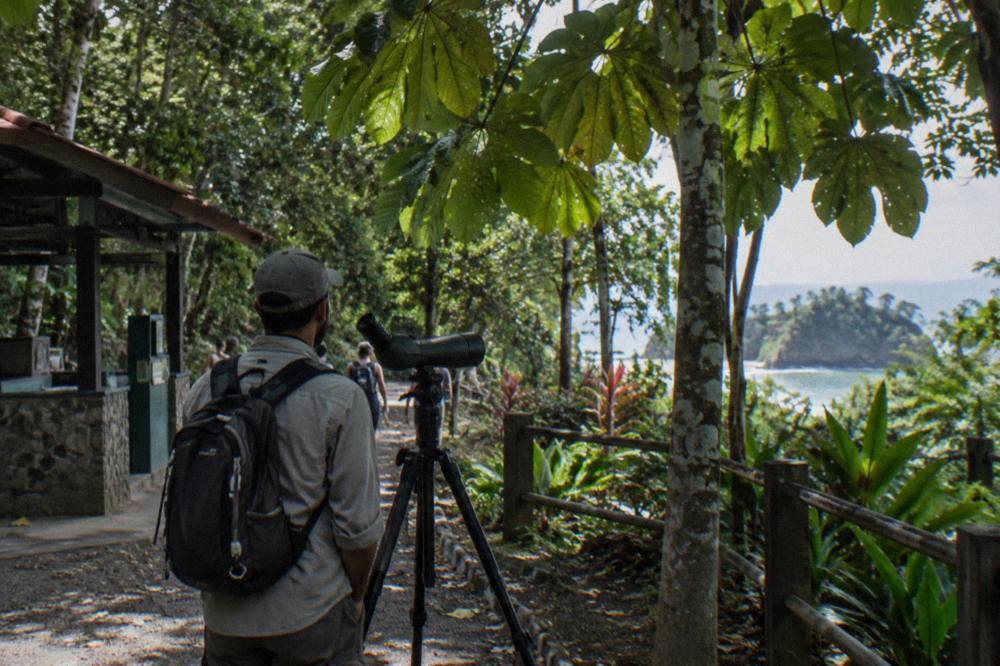 A spotting scope set up on a shaded rainforest trail beside a guide