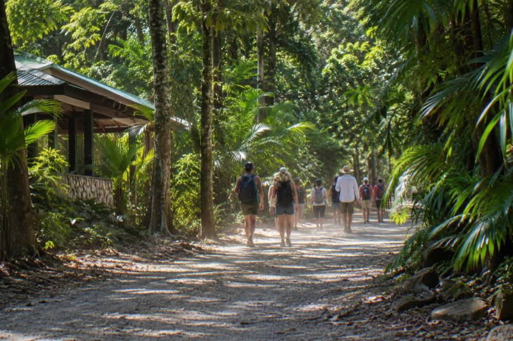 Tour group walking a wide dirt trail through dense green rainforest