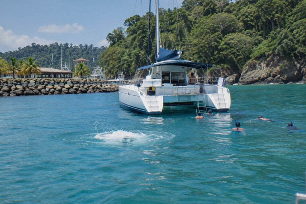 Catamaran anchored near a rocky green coastline with snorkelers in the water