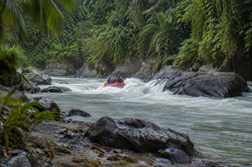 Raft paddling through a green jungle river canyon with spray rising