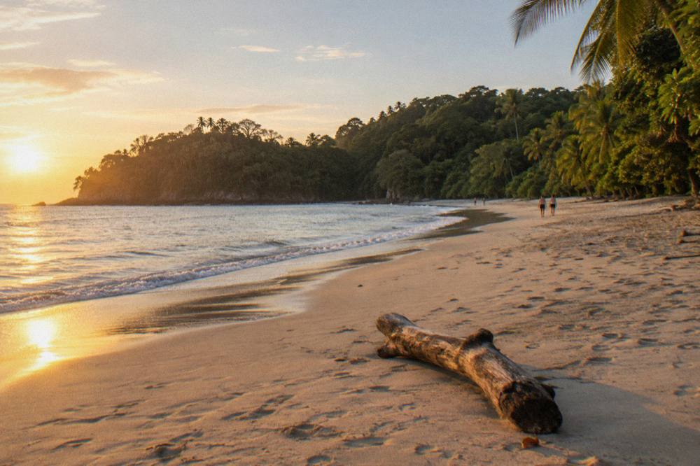 Empty sand beach curving toward a rainforest point under an afternoon sky