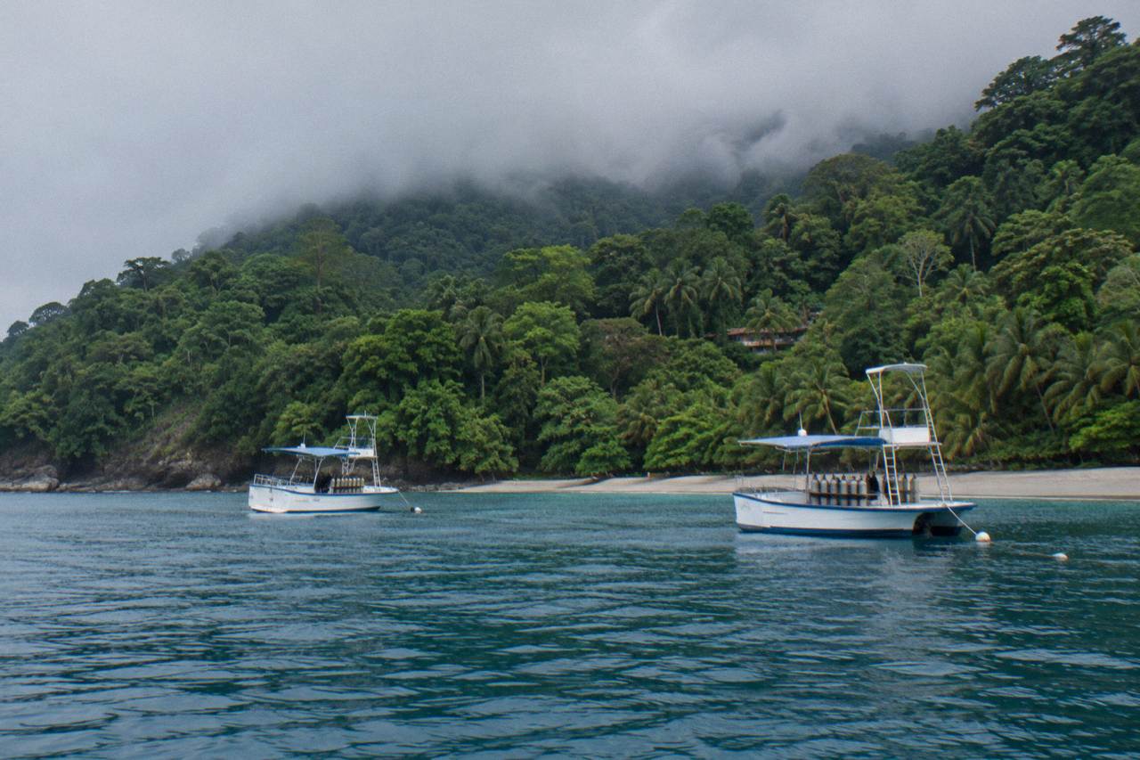 Forest-covered hillside above a calm Pacific bay with boats anchored offshore