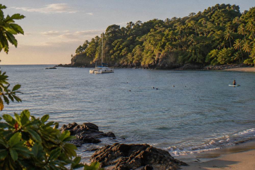 Catamaran anchored near a forested bay with snorkelers in clear water nearby