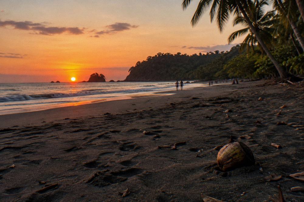 Sunset over the Pacific horizon seen from a dark sand beach with palms