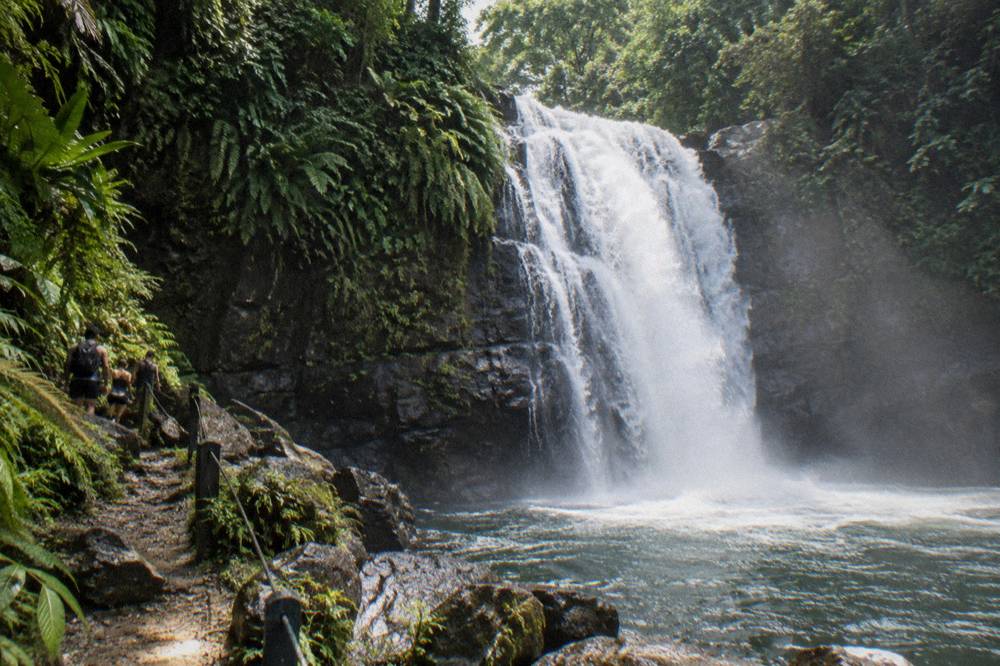 Waterfall dropping into a forest pool surrounded by dark rock and green plants