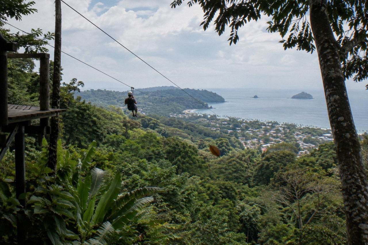 Rainforest canopy with zipline cables strung between tall trees above green hills