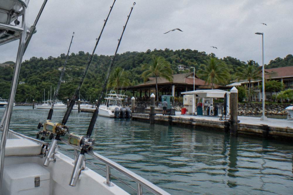 Fishing rods in holders along the railing of a small charter boat