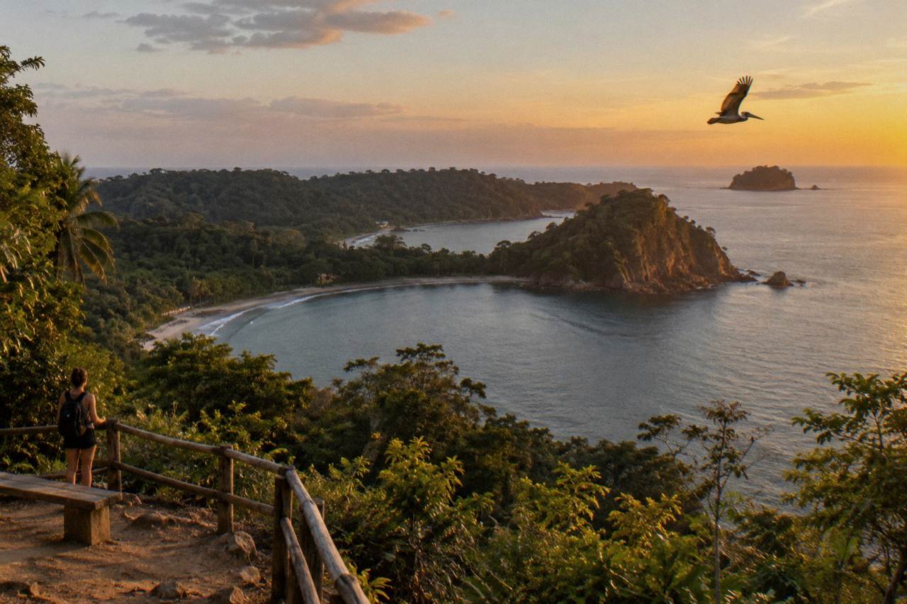 Rainforest covered hills rising above a calm Pacific bay with a wooded point