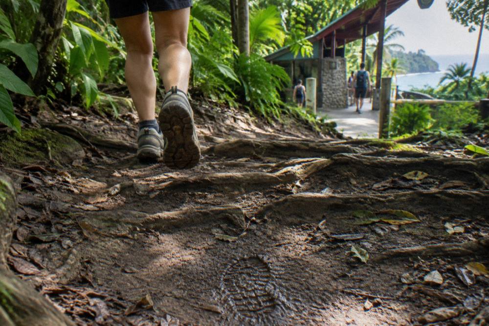 A pair of worn hiking shoes on a shaded jungle path with dappled sunlight