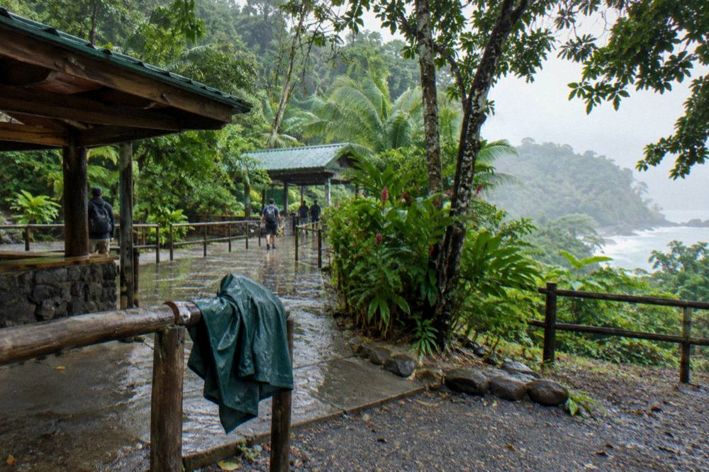 Rain droplets on tropical leaves with a poncho folded on a bench in the background