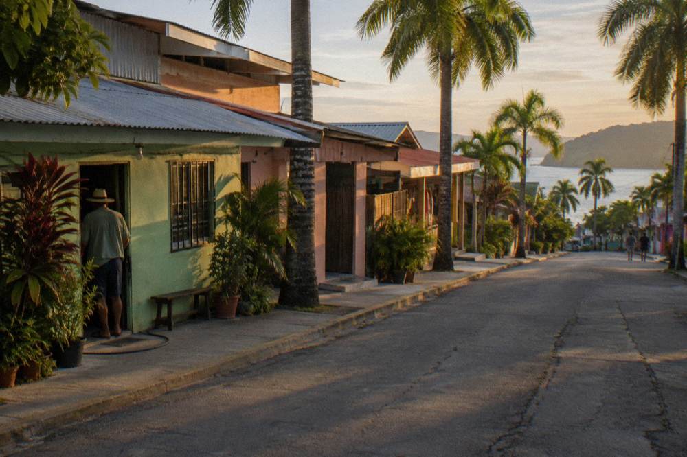 Small town street with palm trees and low buildings in afternoon light