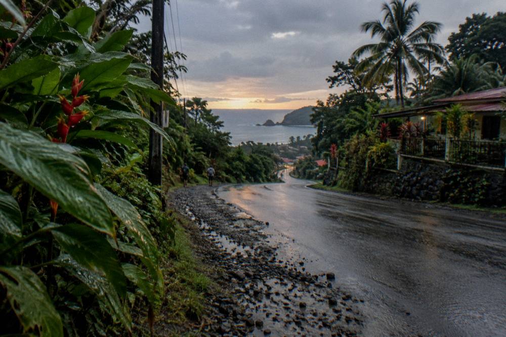 Paved road curving through dense green forest toward the coast