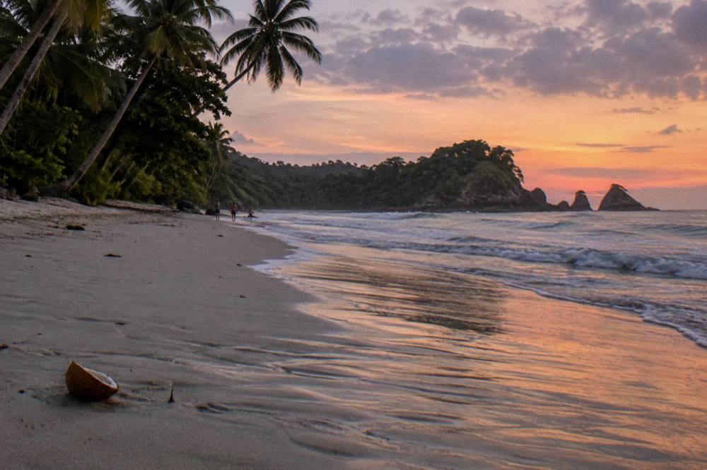 Palm trees and beach sand under an evening sky near the water