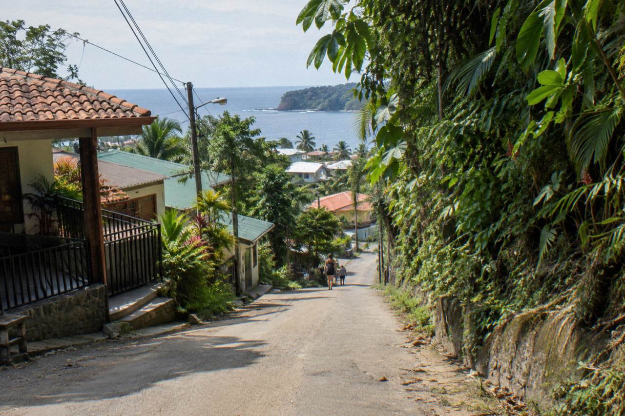 Hillside road above the coast with forest on one side and ocean in the distance